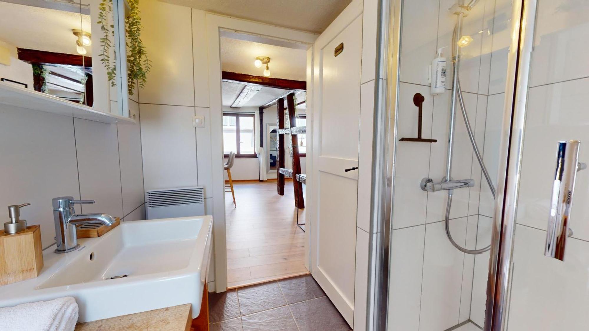 Au Petit Vauban 2 Chambres & Parking Colmar Exteriér fotografie